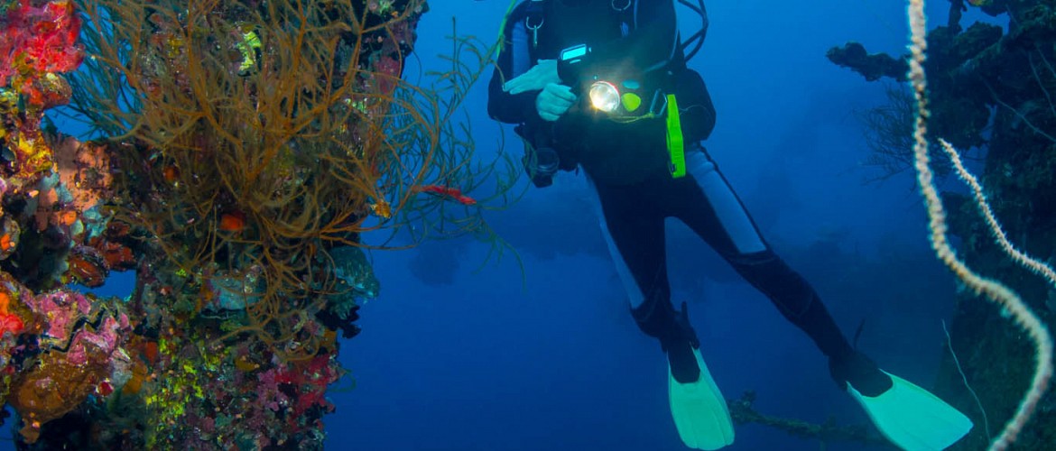 The King Cruiser Wreck